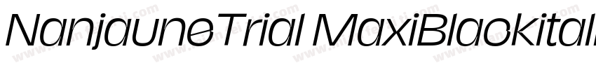 NanjauneTrial MaxiBlackitalic字体转换